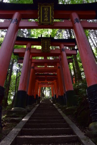 Torii gates at Fushimi Inari