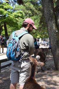 In addition to the deer crackers you feed them,  the deer also seemed to enjoy Dustin's shirt