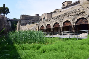 Ruins at Ercolano. The grass is where the sea used to reach, and inside each small space there are skeletons from when people tried to hide here during the eruption.